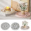 Candle Holder Mold Suitable for Crafting Unique Coasters and 2