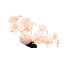 Artificial Colorful Water Plant Glow in Dark Aquarium Decor for Underwater Landscaping, 10-Inch, Non-Toxic Material
