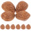 40Pcs Brown Simulation Almonds Fake Nuts for Home Decoration 1