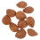 40Pcs Brown Simulation Almonds Fake Nuts for Home Decoration 2