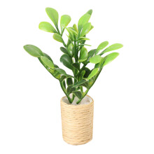 4Stk Grünpflanze Kunststoff Mini Bonsai Für Puppenhaus