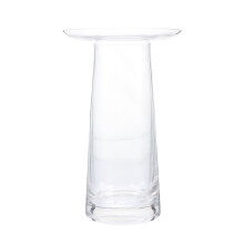 2Pcs Clear Glass Vase Ornament Flower Container Decor