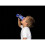 Gobelet - PSG - 550 ml - Plastica - Blu e Rosso - Facile da pulire 3