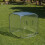 Serra POP UP per giardino - Suan - 100 x 100 x 100 cm - Trasparente - Bianco 3