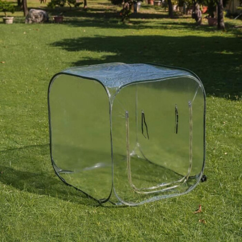 Serra POP UP per giardino - Suan - 100 x 100 x 100 cm - Trasparente - Bianco 2