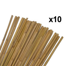 Conjunto de 10 tutores para plantas e legumes - Bambu - Altura 90 cm