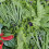 Muro vegetale artificiale - Modello fiore rosso - Dimensioni: 100 x 100 cm 4