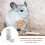 Bird Water Feeder Automatic Gravity Dispenser for Parrots and Small Pets, Easy Install, White 3