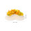 16St Mini Bloemenbed Plastic Mini Huis Decoratief 11