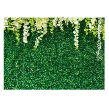 Pared de hierba de hojas verdes para fotografía de flores, fondo para despedida de soltera con estética de fondos fotográficos florales blancos,