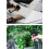 Leak Proof Gardening Bottle, Fine Mist Spray for Versatile Application, Comfortable Use with Adjustable Nozzle, High Quality Materials, 2 Pack 6