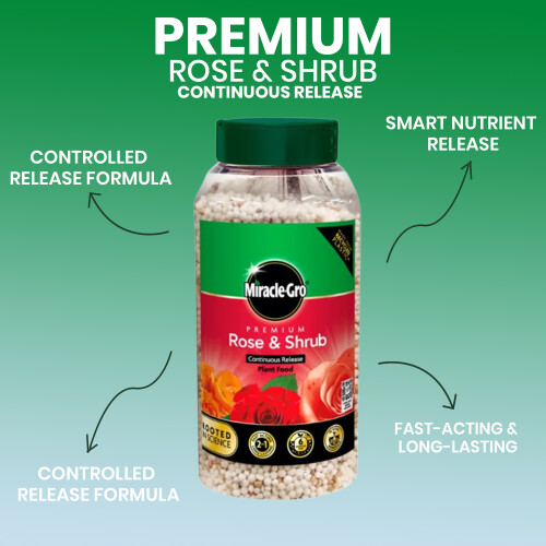 Miracle-Gro Miracle Gro Rose & Shrub Continuous Release 900g 2