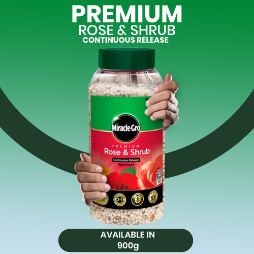 Miracle-Gro Miracle Gro Rose & Shrub Continuous Release 900g 1
