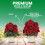 Miracle-Gro Miracle Gro Rose & Shrub Continuous Release 900g 6