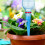 12PCS Drip Irrigation Spikes for Garden Flowers Automatic Watering System 1