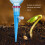 12PCS Drip Irrigation Spikes for Garden Flowers Automatic Watering System 6