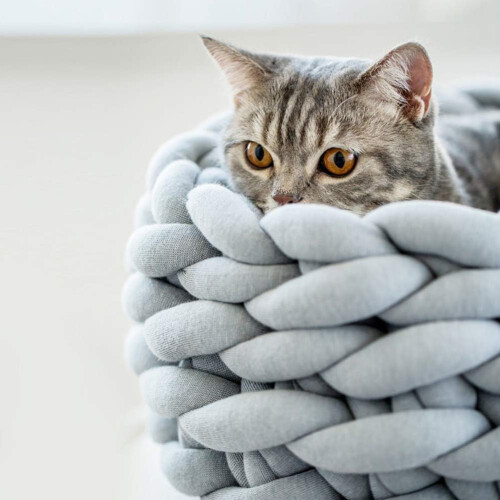 Cozy Pet Retreat, Χαλαρωτικό Κρεβάτι Γάτας Χειροποίητο Χοντρό Πλεκτό, Ζεστό, Μοντέρνο, 2