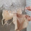 1PC Bathroom Suction Cup Drying Rack Folding Socks Drying Rack Household Clothes Rack Multi Clip Drying Socks Artifact,A 6