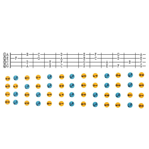 Ukulele Decals Fretboard Note Decals Sticker for Ukulele Beginners 4Pack 2