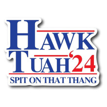 Hawk Tuah Spit  That Thang, Funny Bumper Sticker, Hilarious Meme Decal, Prank, Gag, Gift Idea, Decal, Car, Laptop A