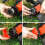 String Trimmer  for Black and Decker AF-100 String Trimmer Replacement Spool Trimmer  Replacement Spool 5