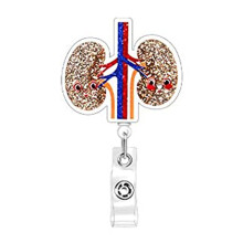 Multifuntional Acrylic Organ Badge Reel Cartoon Clip-Kidney