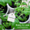 Versatile Price Tags For Display, Durable Marking Tags With String Attached, Ideal For Merchandise And Plant Identification, Writable Surface Resists 8
