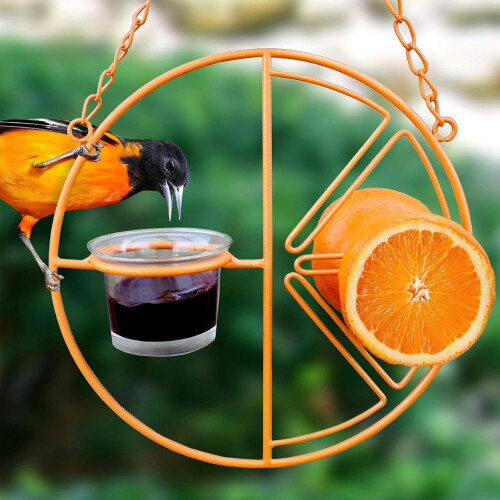 Τροφοδότης πουλιών Oriole, κρεμαστός μεταλλικός τροφοδότης πουλιών με τροφοδότη