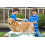 Φιλικές προς το δέρμα τρίχες σιλικόνης, βούρτσα μασάζ μπάνιου για κατοικίδια για 5