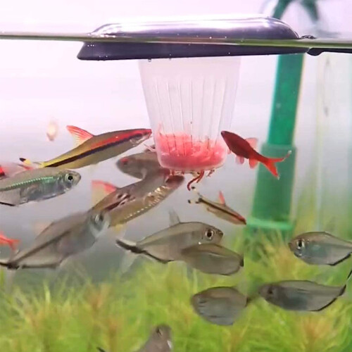 Effektiv foderstation, akvariefoderring, giftfri materialer sikrer sikkerhed for fisk, multifunktionel flydende foderautomat 2