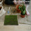 Flexible Green Fake Moss Sheet Plastic Simulation Moss for Decor 5