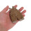 Popkleding: Gewatteerde Overall voor 12 Cm 4