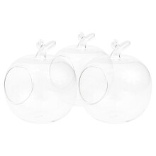 garrafa hidropônica transparente formato maçã 10 cm 3 un