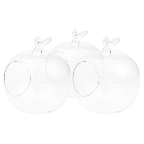 garrafa hidropônica transparente formato maçã 10 cm 3 un