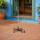 12 Pezzi Punta Ricambio Per Quad 16 Mm In Gomma Antiscivolo 6