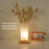 LED Bedside Table Lamp 1600mAh Warm Light, Adjustable Brightness 6