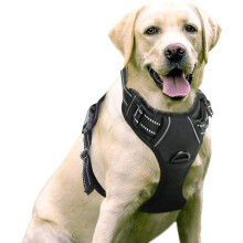 Harnais pour chien avec sangles réfléchissantes pour un ajustement personnalisé au niveau du cou et du poitrail, pour une promenade sans traction