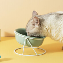 Hellgrüner Keramik-Tierfutternapf 300ml mit erhöhtem Design für Katzen & Hunde