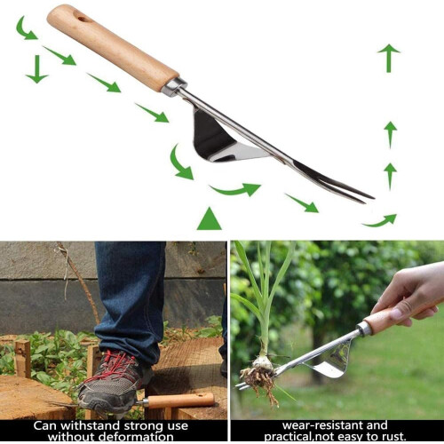 Dandelion Weed Puller, High-Strength Stainless Steel Weeder Tool with Ergonomic Design - Space-Saving Storage for Indispensable Weed Extractor 2