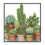 Cactuses Patterns Counted  Stitch 11CT Printed  Stitch Sets Embroidery Needlework 1