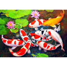 DIY Diamant Malerei Nach Anzahl Kits, Malerei Koi Fischteich Lotus Farbe mit Diamanten Kunst Voll Bohrer Leinwand Bilder