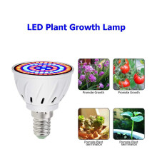 Grow Light Bulb 60 LEDs Plant Lights Full Spectrum for Indoor Plants Succulents Garden Flowers,E14,220V