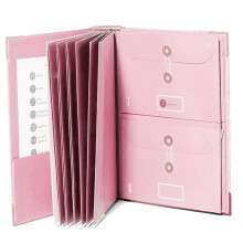 Cartelle di File con Etichette, Simpatico Organizer per Carta con Custodia con Cerniera, Organizer Portatile per Documenti per Casa e Ufficio, Rosa