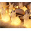 Easter Bunny String Light 10Ft 10LEDs Battery Operated Rabbit Shaped String Lights With Remote Timer Spring Decor 2