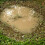 AK8028 - AK Interactive Acrylic Puddles 60ml. 2