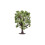 Hornby Hornby Oak Tree Model 1