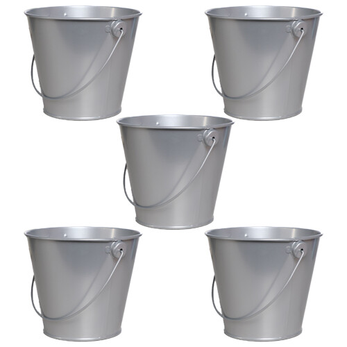 Durable Wire Handle, Color Coded Galvanized Buckets for Creative Succulent Pot, Weather Resistant Party Decorations
