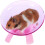 Pet Fun Hub, Ομαλή Αντιολισθητική Στροφή για Μικρά Κατοικίδια Πολλαπλών Χρήσεων, 6