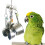 Parrot's Paradise: Πολύχρωμη κούνια πουλιών με μεταλλικό γάντζο για πνευματική διέγερση 1