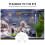 8Stk Resin Meerestiere Weiß Aquarium Ornamente 9